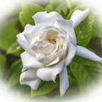 JoElla-April-00013.jpg