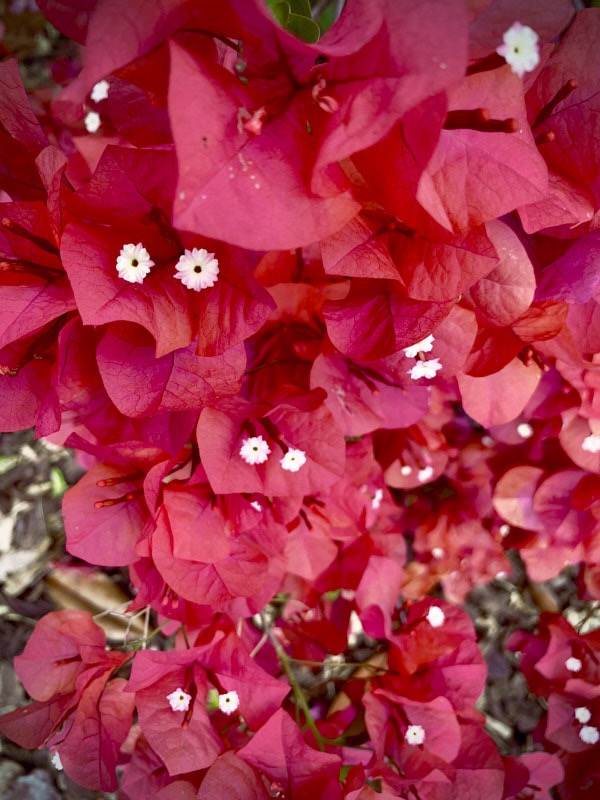 Pat-April-00001.jpg