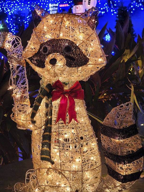 Mary-December-037.jpg