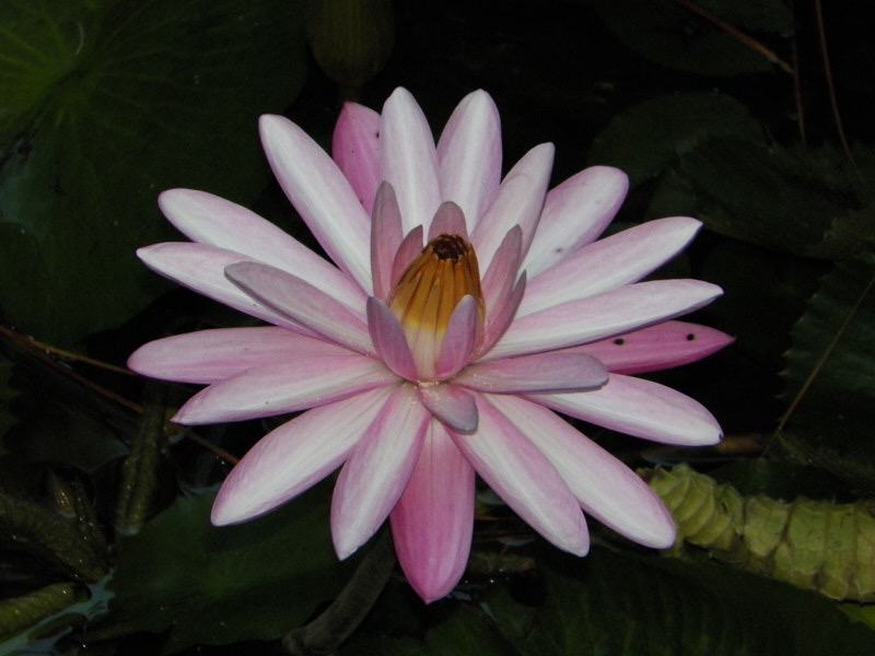 Linda-July-00002.jpg