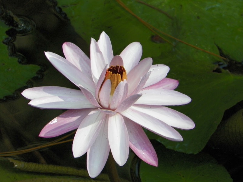Linda-July-00009.jpg