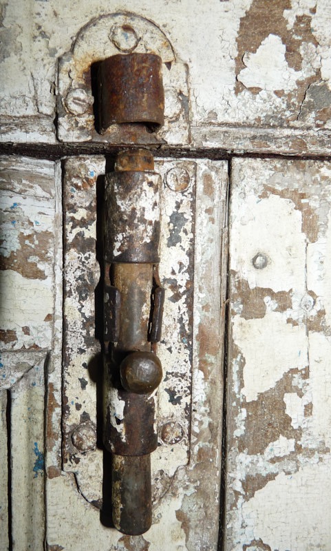 JoanneR-June-00002.jpg