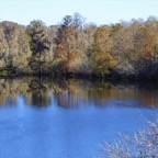 Campbell-December-00007.jpg