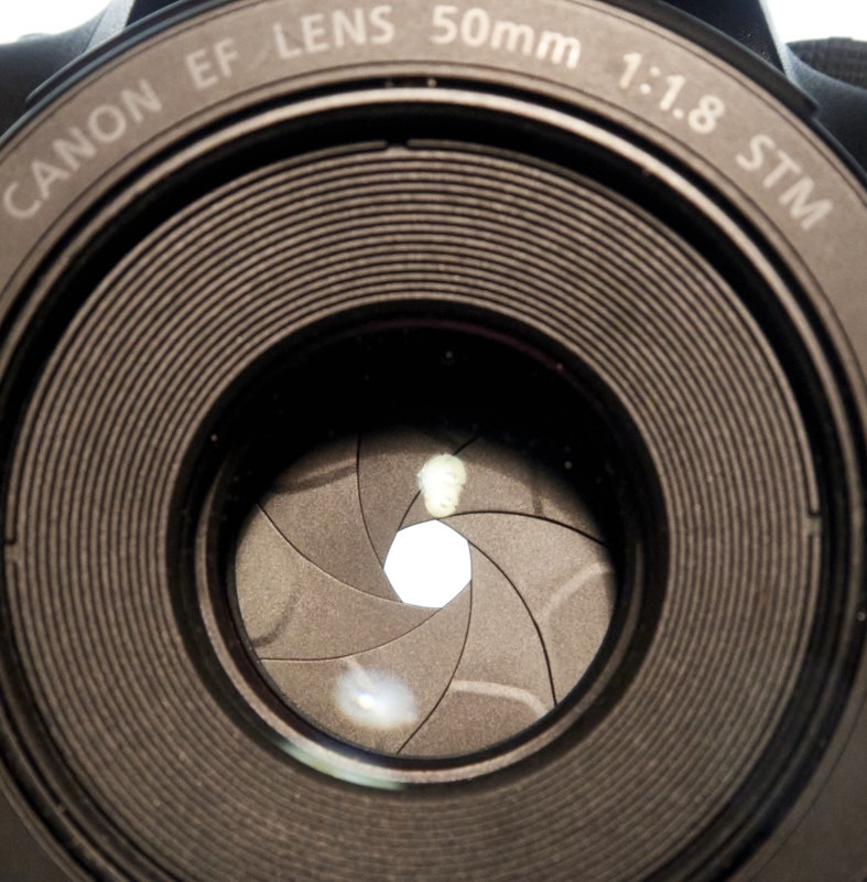 David-A-Aperture-f11.jpg
