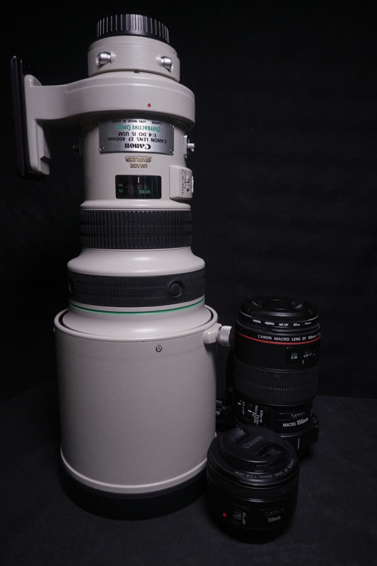 David-P-Prime-Lenses.jpg