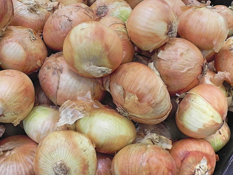 Marty-O-Onions.jpg