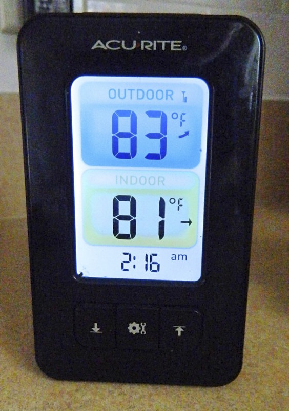 Marty-T-Thermometer.jpg