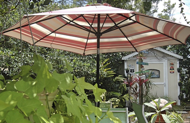 Marty-U-Umbrella.jpg