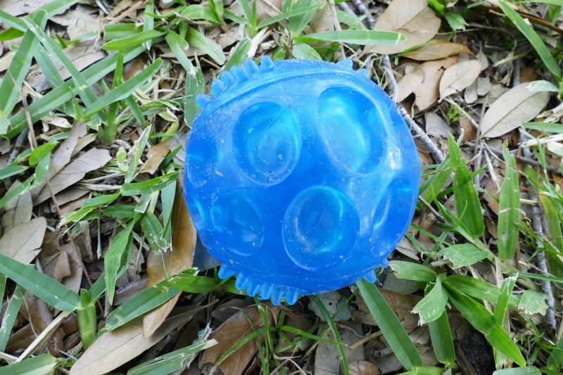 Mary-B-Blue-Ball.jpg