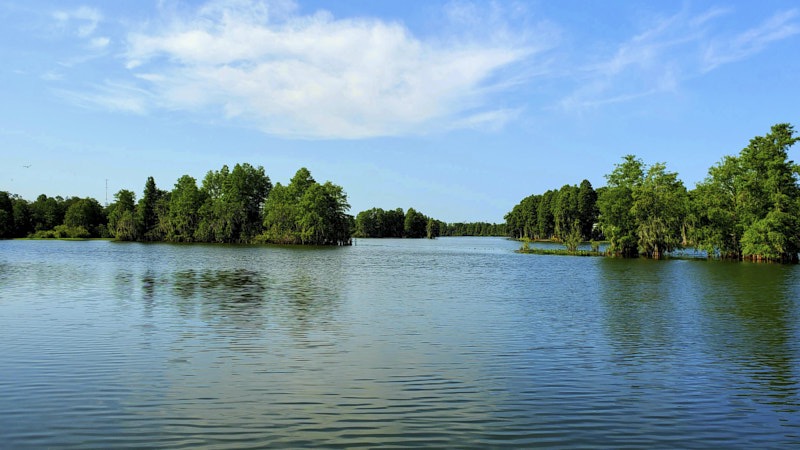 Mary-H-Hillsborough-River.jpg