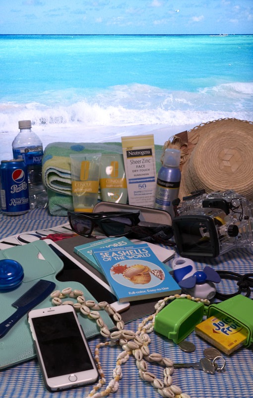 Pat-Z-ZthruA-Beach.jpg