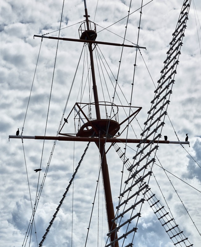 Pat-August-00037.jpg
