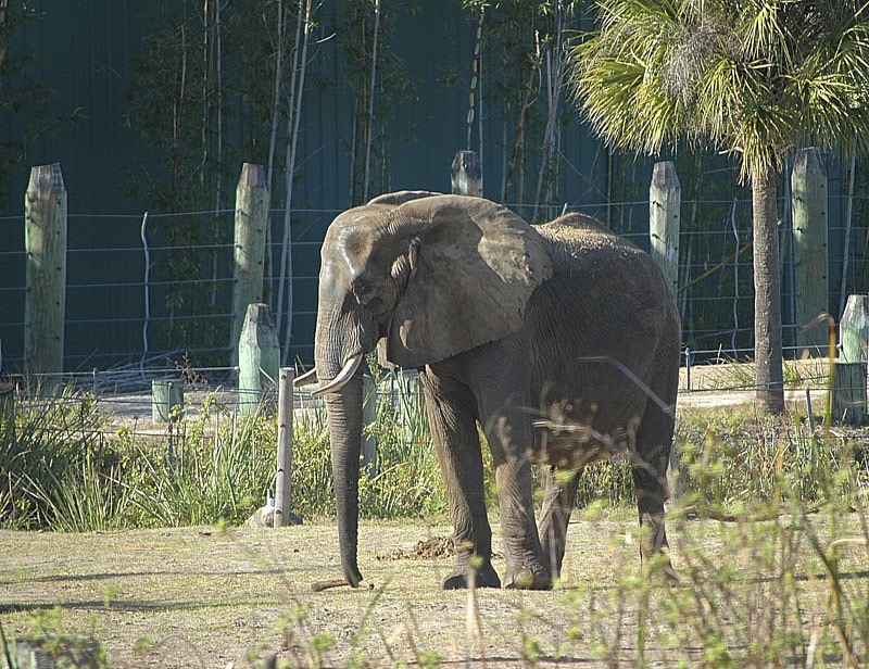 Marty-January-00005.jpg