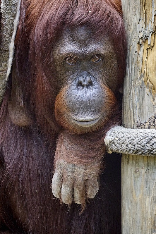 David-March-00063.jpg