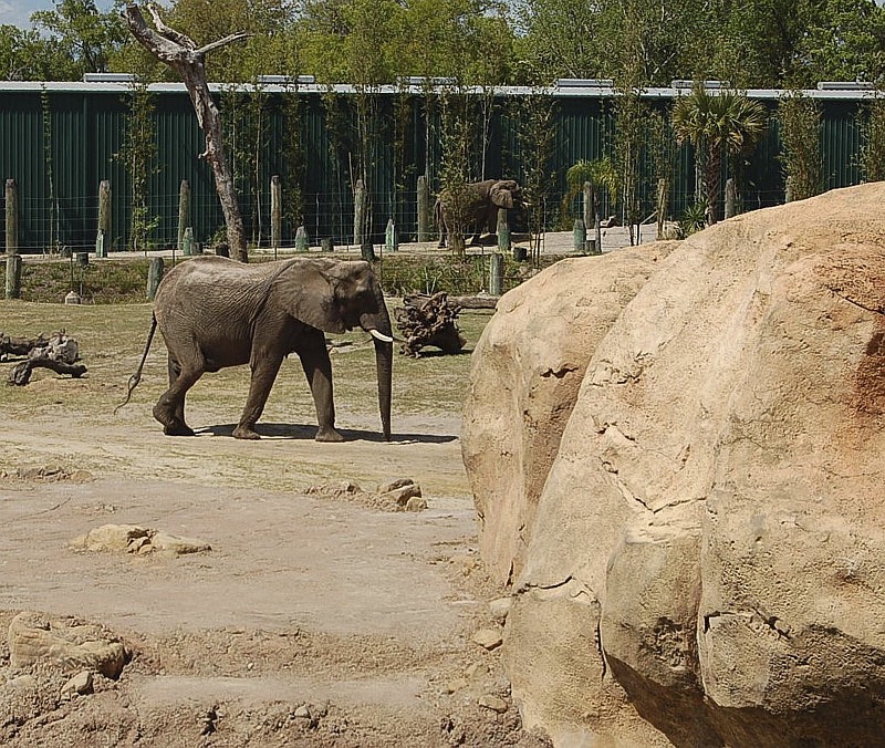 Junia-March-00012.jpg