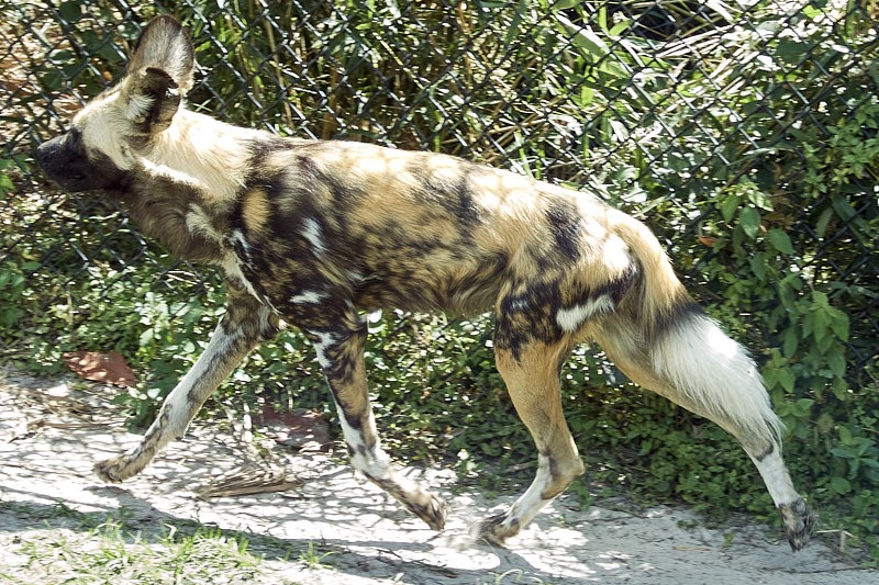 Pat-March-00041.jpg