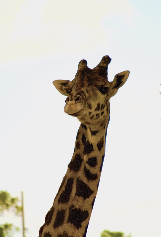 Ray-March-00015.jpg