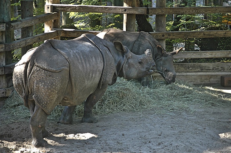 Marty-October-011.jpg