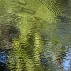 Pat-November-019.jpg