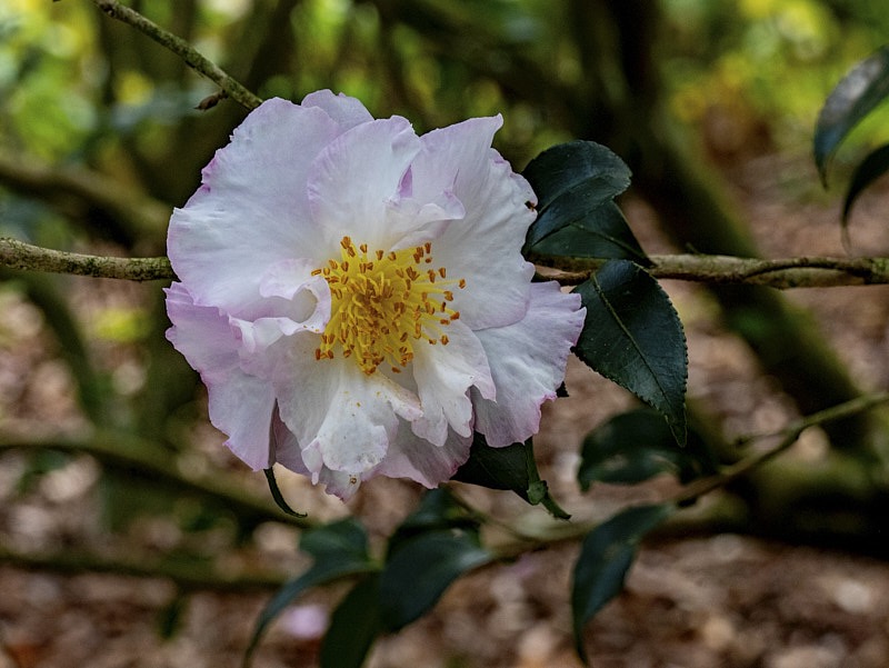 Margaret-December-027.jpg