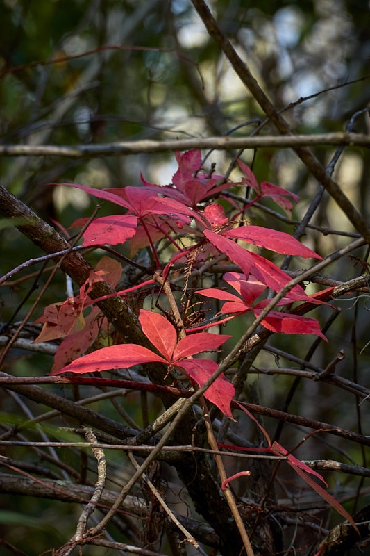 Pat-December-068.jpg
