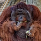 Margaret-March-006.jpg