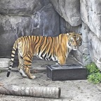 Marty-March-002.jpg