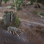Pat-March-041.jpg