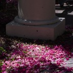 David-April-056.jpg