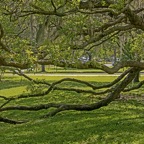 Mary-April-045.jpg