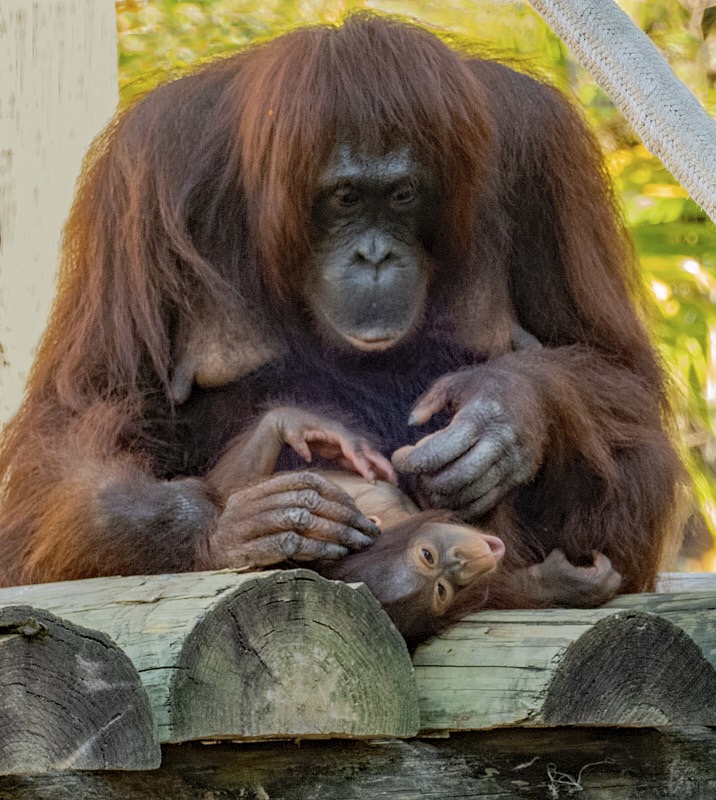 Margaret-August-016.jpg