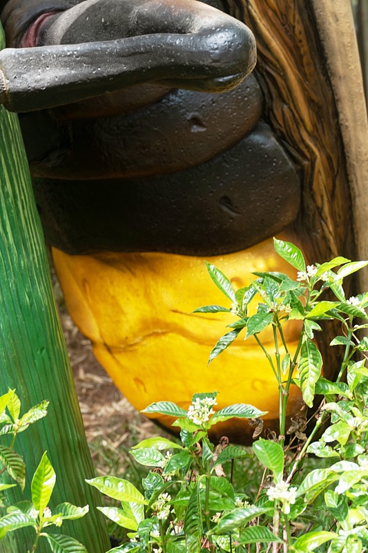 Mary-April-037.jpg