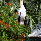 Pat-October-018.jpg
