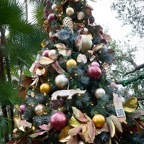 David-December-041.jpg