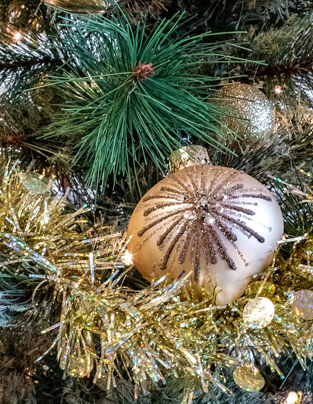 Margaret-December-002.jpg