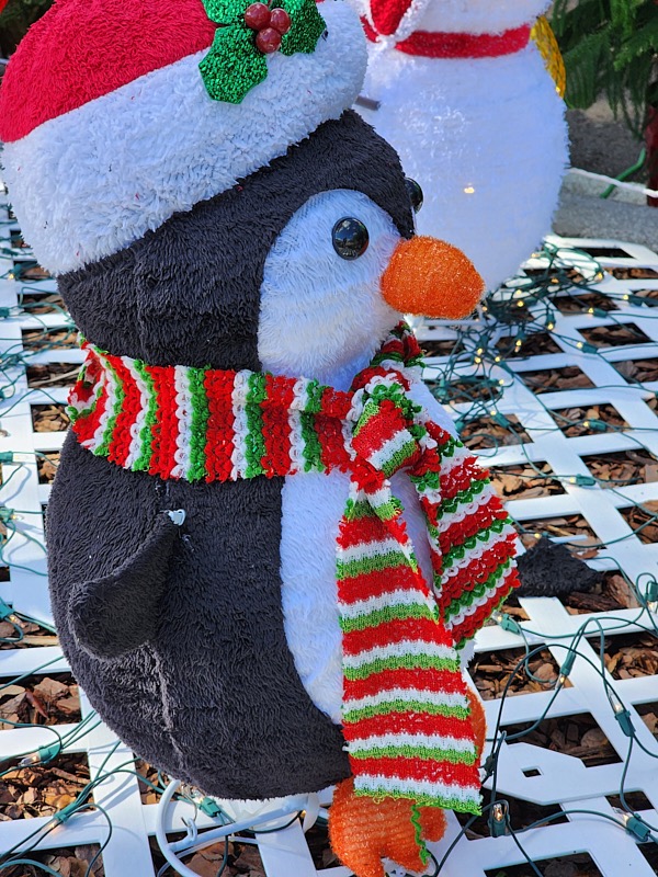Mary-December-011.jpg