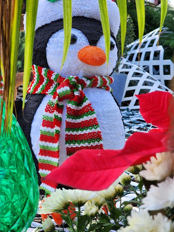Mary-December-012.jpg