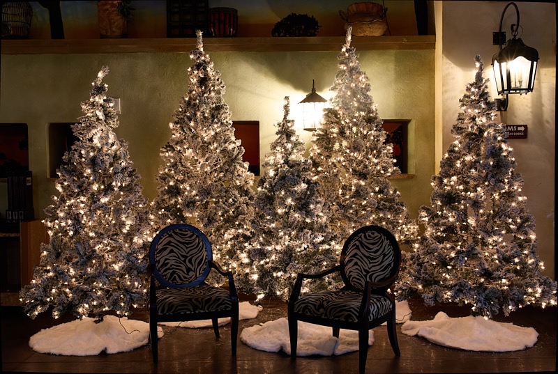Pat-December-023.jpg