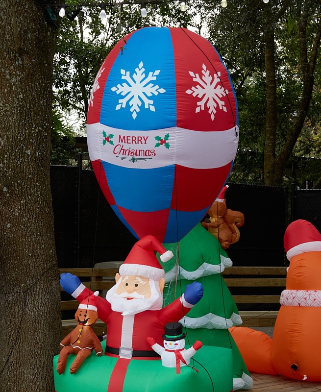 Pat-December-032.jpg