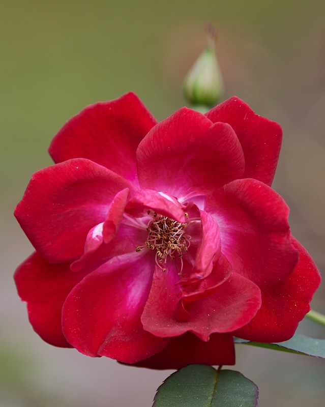 David-February-Eureka-058.jpg