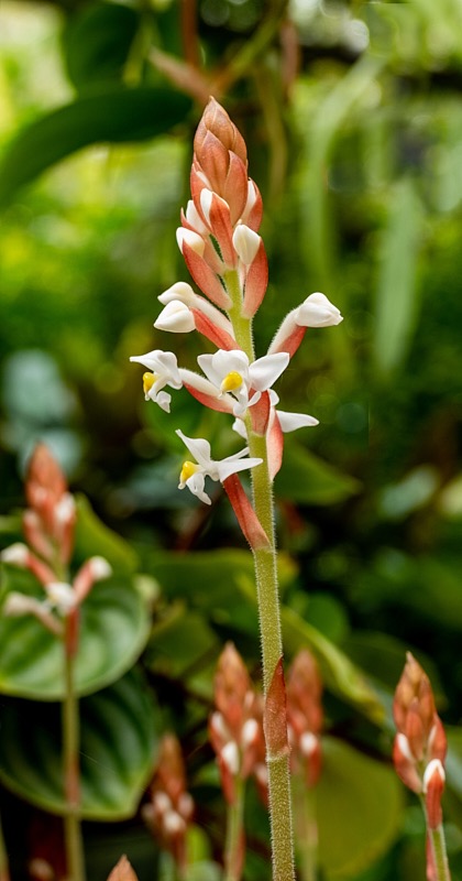 Margaret-February-Eureka-018.jpg