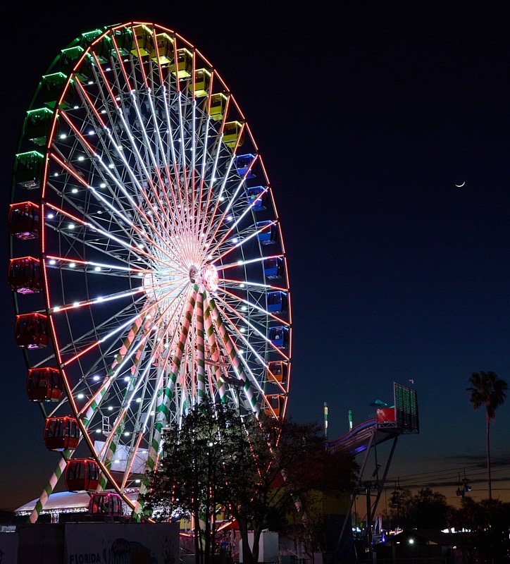 Pat-February-Fair-007.jpg
