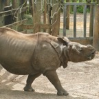 Artemis-March-Zoo-011.jpg