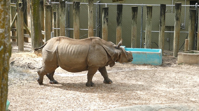 Artemis-March-Zoo-012.jpg