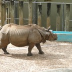 Artemis-March-Zoo-012.jpg