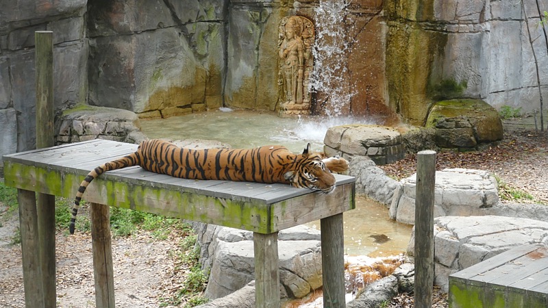 Artemis-March-Zoo-014.jpg