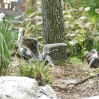Artemis-March-Zoo-030.jpg