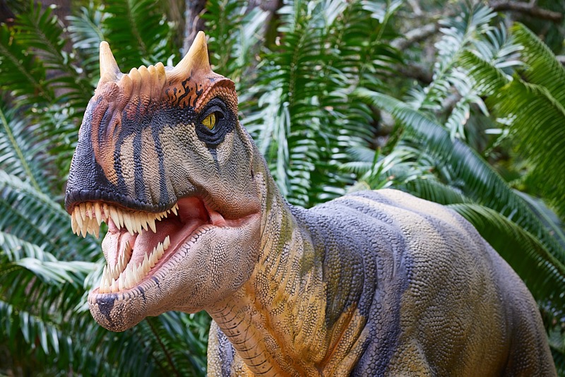 David-March-Zoo-004.jpg