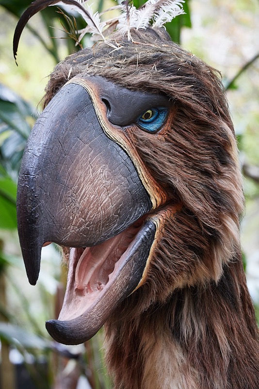 David-March-Zoo-018.jpg