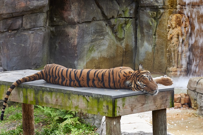 David-March-Zoo-050.jpg